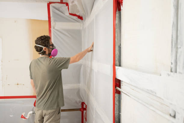 Best Basement Mold Removal  in Asbury, IA