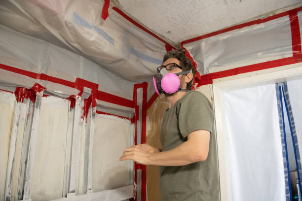 Best Mold Damage Restoration  in Asbury, IA