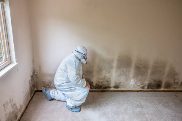 Asbestos and Lead Testing During Mold Inspection in Asbury, IA